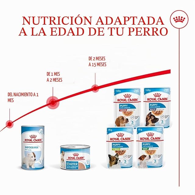 Foto 5 de 7 de Royal Canin Starter Mousse, Comida para perros, 12x195 gr