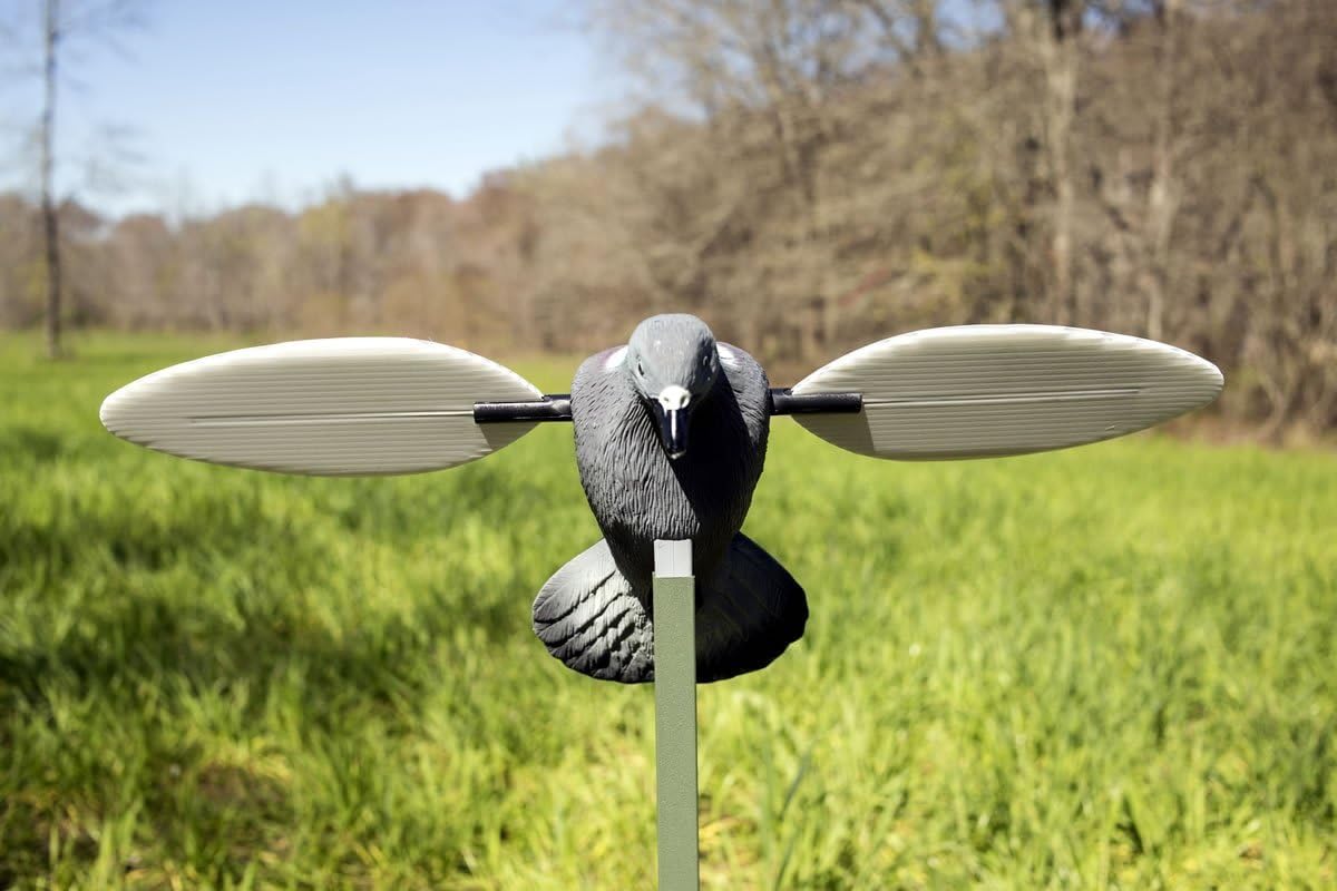 Mojo Outdoors Dove Decoys for Dove Hunting