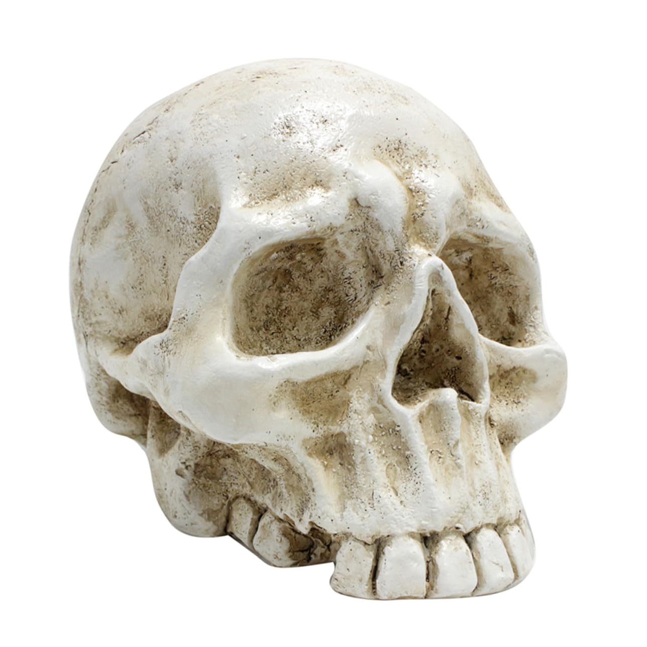 VALICLUD Halloween Resin Skull Table Centerpiece Decoration Human Skeleton Head Ornament for Party Photo Prop And Desktop Decor