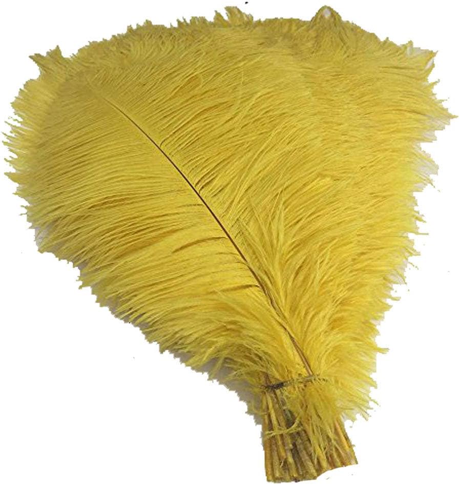 高級カットオーストリッチ羽根 Lサイズ（51-57cm）１本 | オーストリッチ羽・羽根（フェザー） | | アシェ・ブラジル・コンパニーア Adamai 150pcs自然9.8 – 11.8 inchオーストリッチ羽Plume forウェディングセンターピースホーム装飾