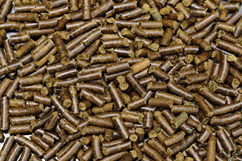 Shrimp King Snail Stixx 45g - Futter für Schnecken im Aquarium | Mit Calcium, Spinat und Kelp Algen