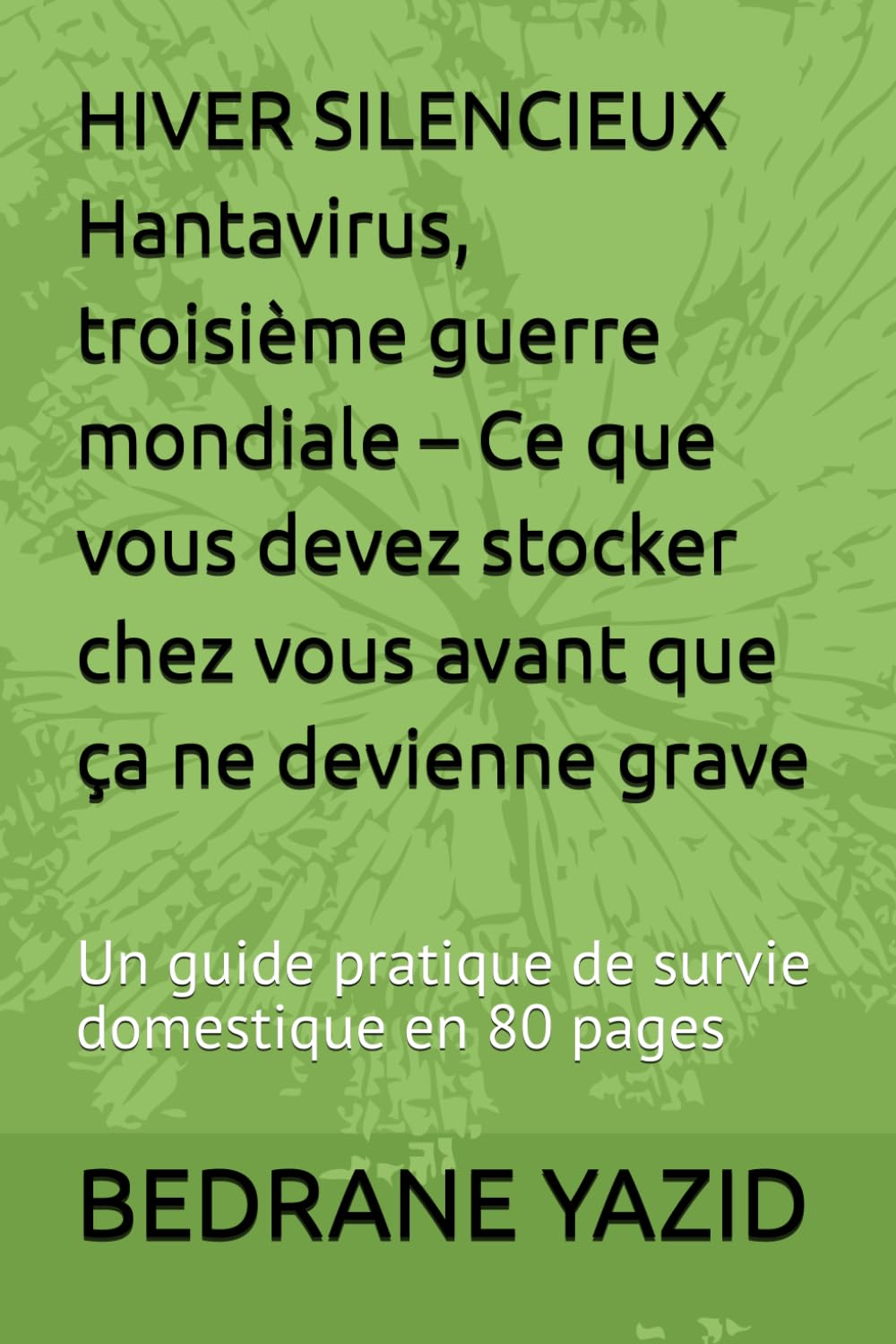 HIVER SILENCIEUX Hantavirus, troisième guerre mondiale – Ce que vous devez stocker chez vous avant que ça ne devienne grave: Un guide pratique de survie domestique en 80 pages