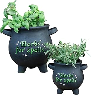 Ebros Gift Wicca Occult Green Thumb Gardening Black Sacred Witchcraft He...