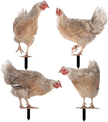 HANABASS Juego de 4 estacas decorativas de acrílico para jardín, estatuas de gallina, decoración de gallina, gallo y animales para patio trasero,