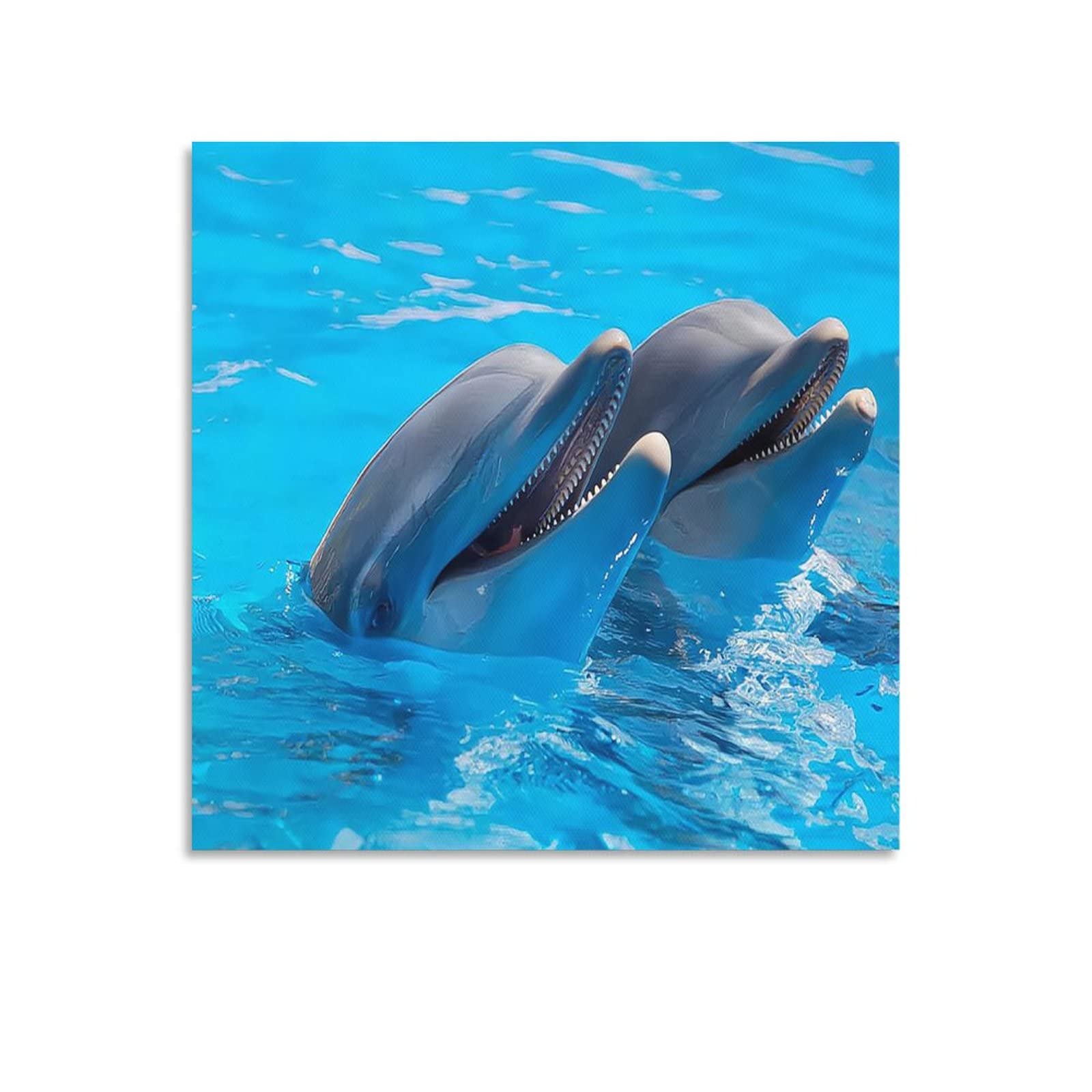 Amazon.co.jp: 水中の二匹のイルカ、イルカ、ポスター 印刷