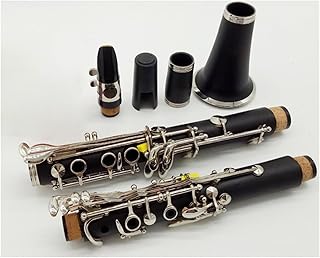 Clarinet Bb Clarinets Bakelite 17 Keys Musical Instruments With Mouthpiece Clarinet for Beginner