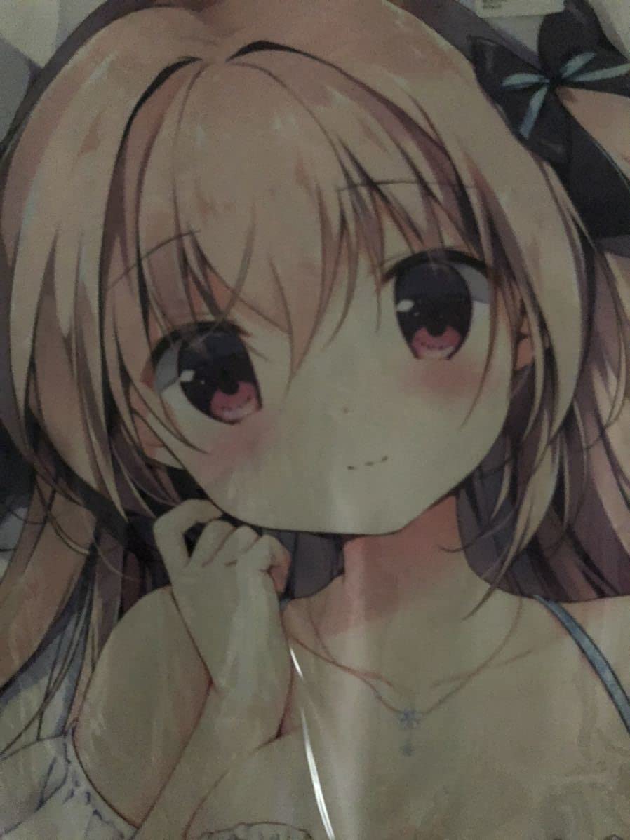 RT-128009 宮坂みゆ りなちゃん バックパック クッション 新品未開封 宮坂みゆ先生 莉奈ちゃん 抱き枕カバー CANVAS+GARDEN