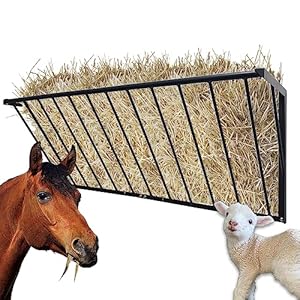 BUYYAH Horse Hay Feeder, 63” Long Livestock Hay Feeder with 48 Gallon Large Capacity, Carbon Steel Wall Mounted Hay Rack for Horses, Sheep, Goats, Indoor Outdoor Uses