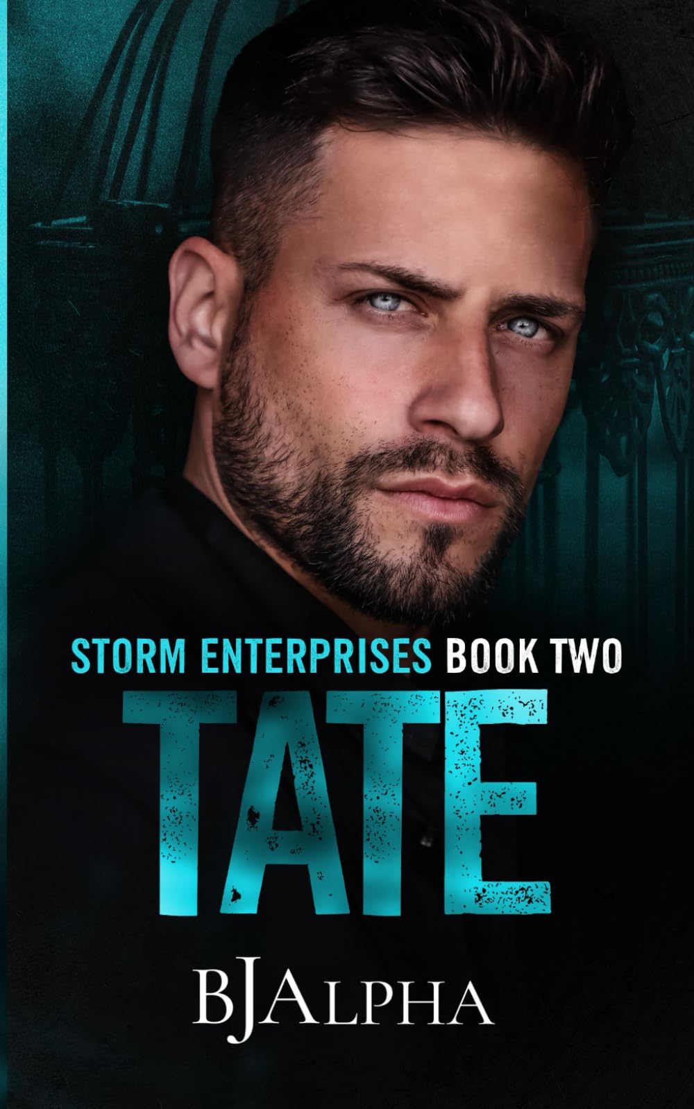 TATE: STORM ENTERPRISES BOOK 2