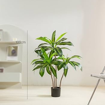 人工観葉植物 165cm 緑 黒鉢 人工観葉植物 165cm 緑 黒鉢 Amazon｜HGJH フェイクグリーン