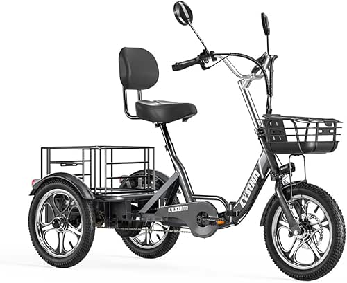 16" Triciclo Eléctrico, Bicicleta Eléctrica De Carga, Bici Eléctrica De