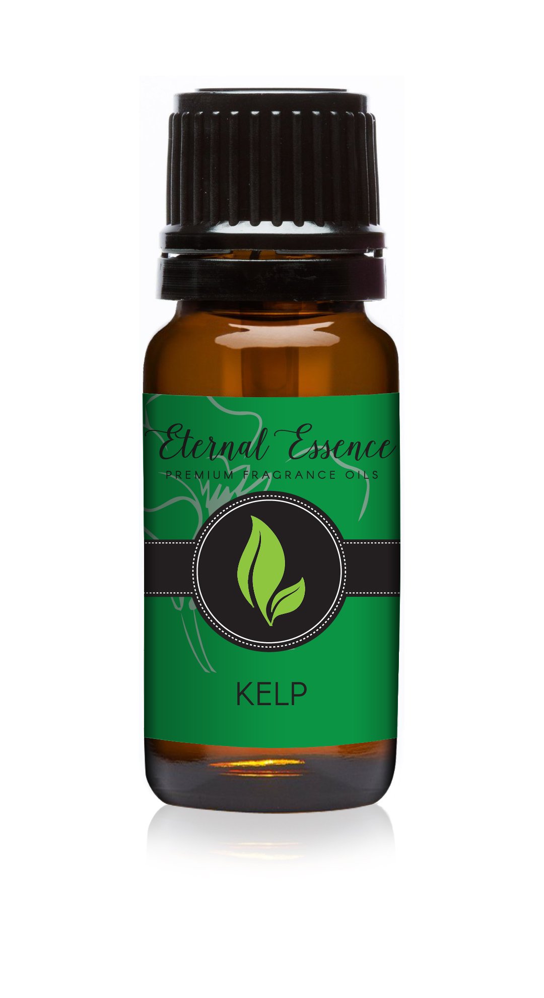 Kelp - Premium Fragrance Oil - 10ml