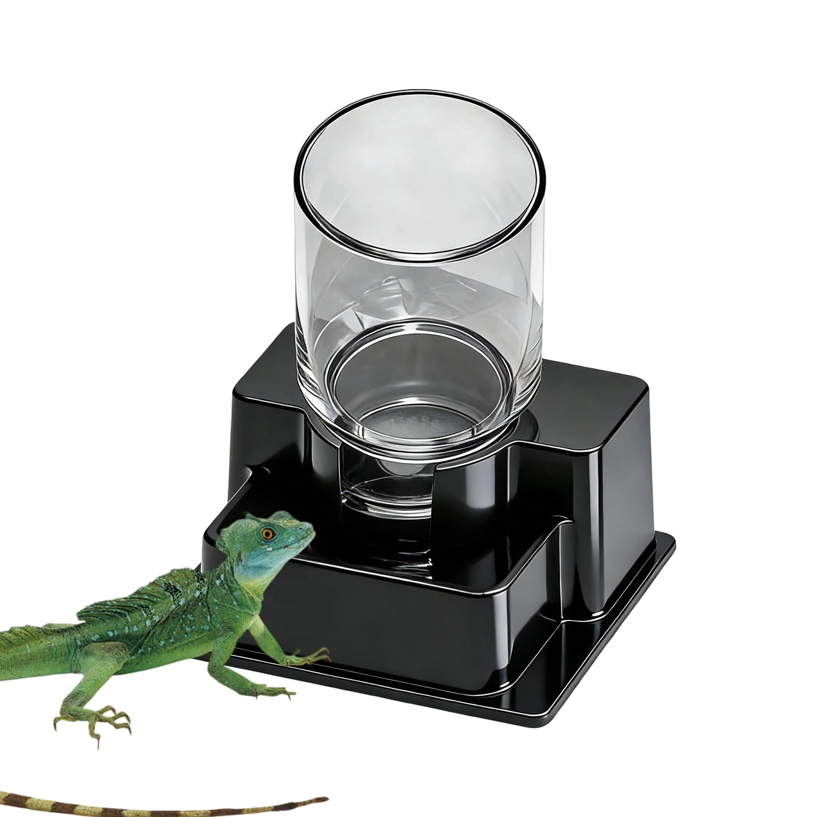 Automatic Reptile Feeder Detachable Terrarium Accessories