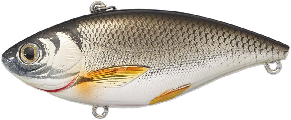 LIVE TARGET Live Target