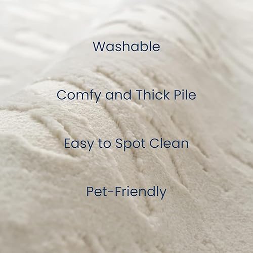 Miniatura 2 de Shell - Alfombra lavable de 5 pies 3 x 8 pies, para sala de estar, dormitorio, con certificado Oeko-TEX, pelo mediano, beige, crema