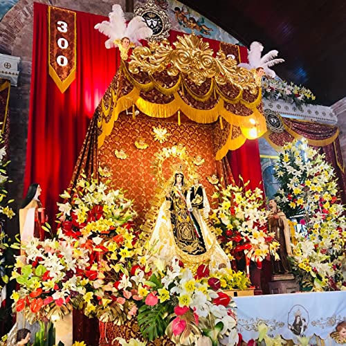 La Gu&iacute;a de Delf&iacute;n. Temporada 01. Episodio 15. Ciudad del Carmen