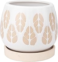 Vista 9 de Chonsun Maceta de cerámica con platillo de 6 pulgadas, maceta para interiores y exteriores con agujero de drenaje, macetas para suculentas, macetas