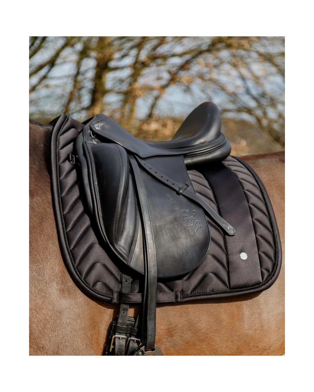 Equiva Dressurschabracke Alteris, atmungsaktive Schabracke mit Coolmax-Material, Stoßdämpfung, Polyfill und sicherem Sattelhalt