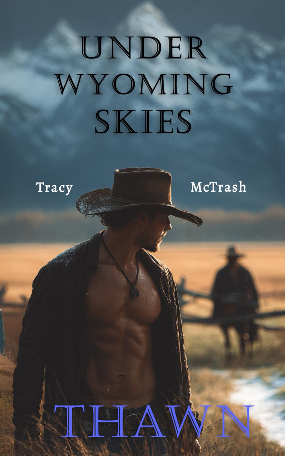 Under Wyoming Skies: THAWN (deutsche MM-Romance, Cowboy Romance, slow burn)