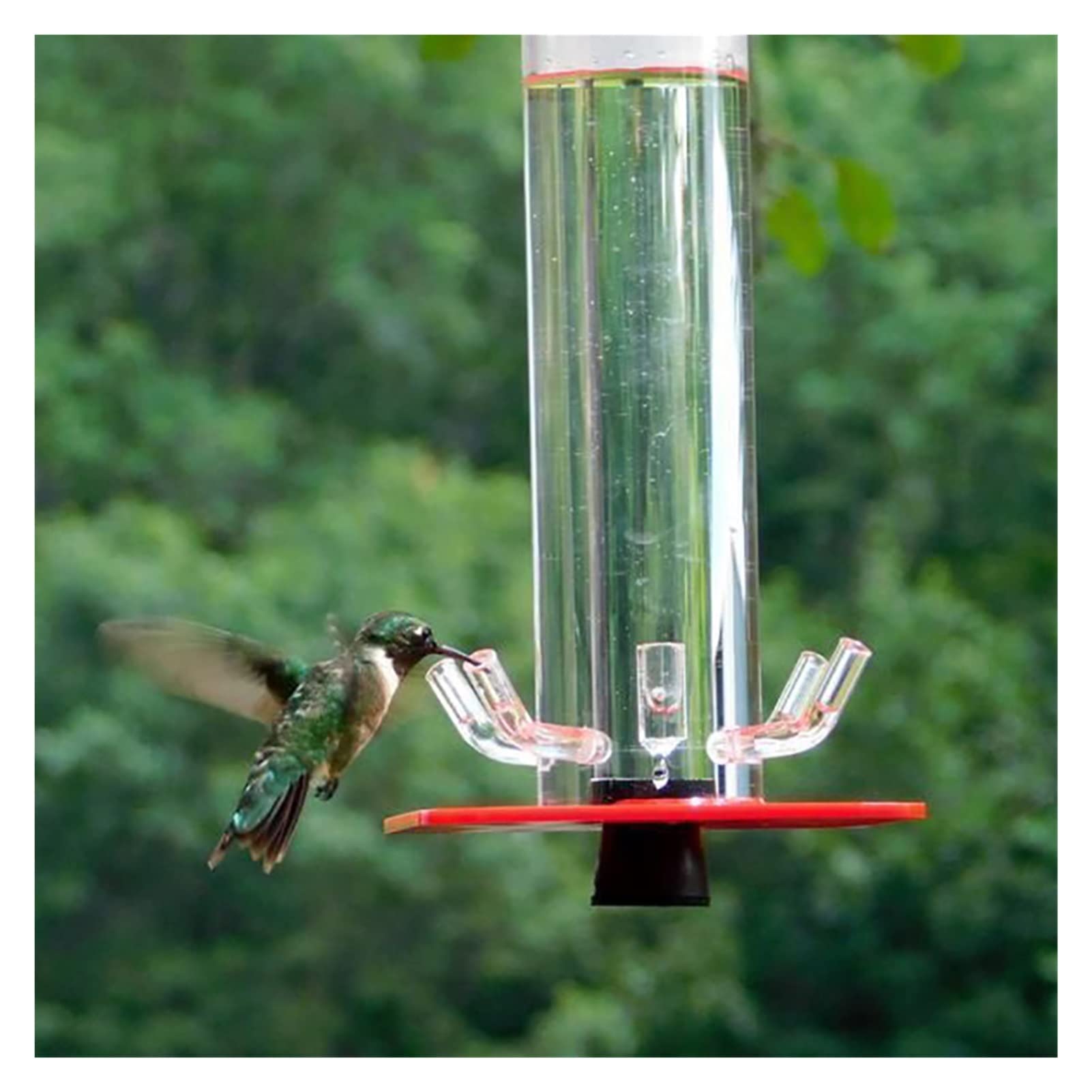 Alimentatore per Colibrì - Vassoio per Alimentatore Colibrì