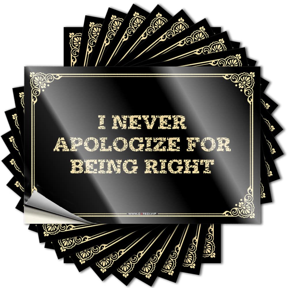 Gaming Room Accessories, Bumper Surfing Ideas I Never Apologize for Being Right | New Waterproof Vinyl Stickers(12X18CM)