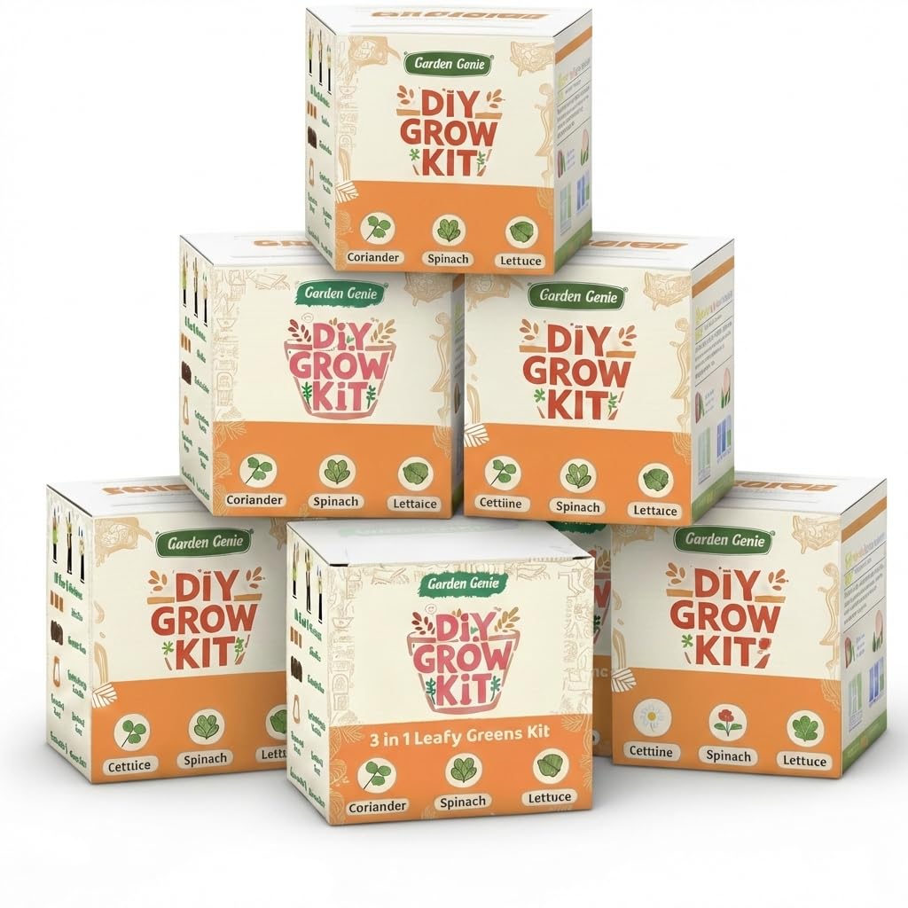 - Garden Genie DIY Gardening Grow Kit | 3 Leafy Vegetable Seeds: Coriander, Spinach & Lettuce | Contains planter, Cocopeat, Compost for Home, Kitchen & Birthday Return Gifts for Kids, Pack of 6