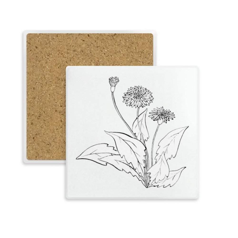 Porte absorbent pierre pissenlit pour préserver vos tables basse de salon