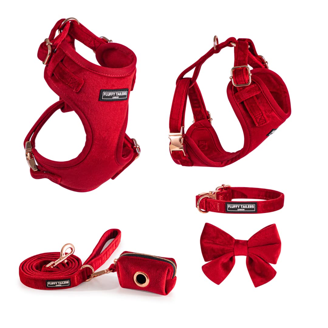 Collier et harnais réglable velours rouge anti traction pour chien M