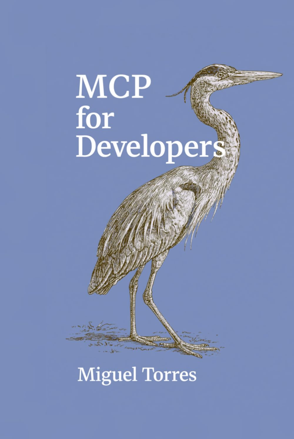 MCP for Developers: Connecting AI Assistants to Tools, Data, APIs, and Workflows