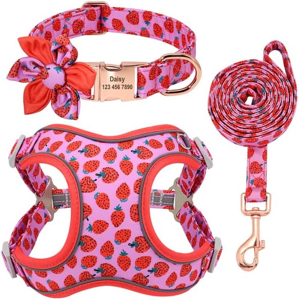 Dog Harness Dog Collar Leash Set Personalized Pet Dog Collar Harnesses Walking Leash for Medium Large Dogs French Bulldog, Strawberry, S
