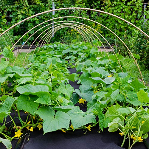 UWIOFF Weed Barrier Landscape Fabric, 3.2oz Premium Heavy-Duty Weed Blocker Fabric Gardening Ground Cover Mat, Weed Control Garden Cloth with U-Shaped Securing Pegs - Thumbnail 5