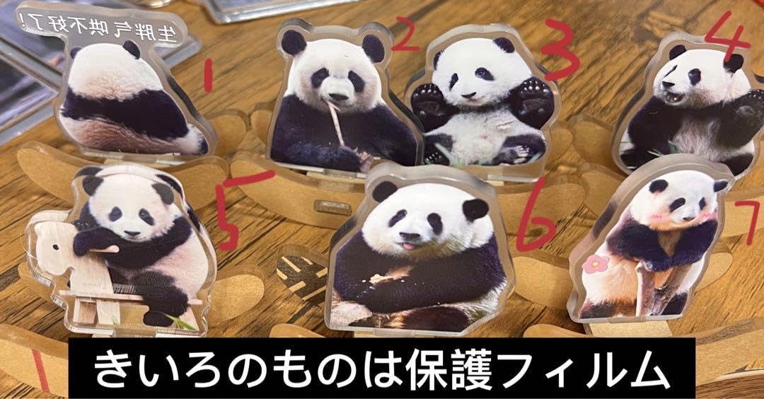 Amazon.co.jp: 品 人気NO.1パンダ花花ちゃん huahua 華華 和花