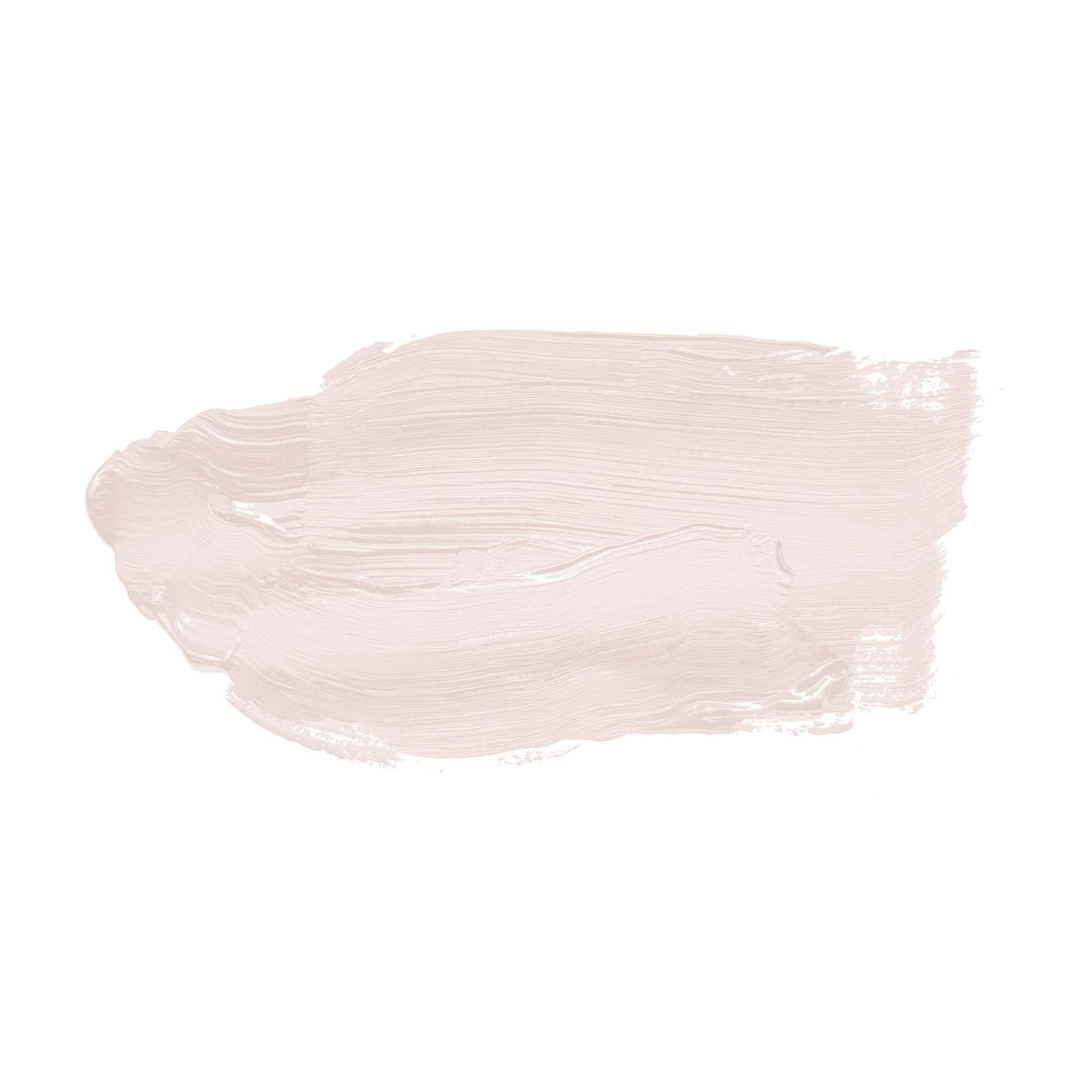 K&L Wall Art Pittura murale rosa opaca per interni, moderna, protezione da parete, 2,5 litri, colore sabbia