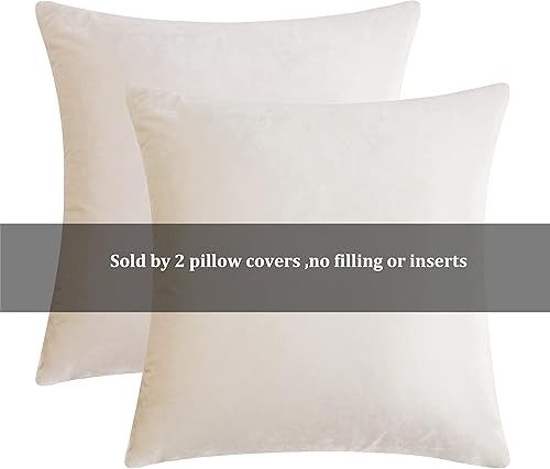 Vista 232 de GIGIZAZA - Juego de 2 fundas de almohada decorativas de 18 x 18 pulgadas, fundas de almohada cuadradas de terciopelo verde azulado pavo real