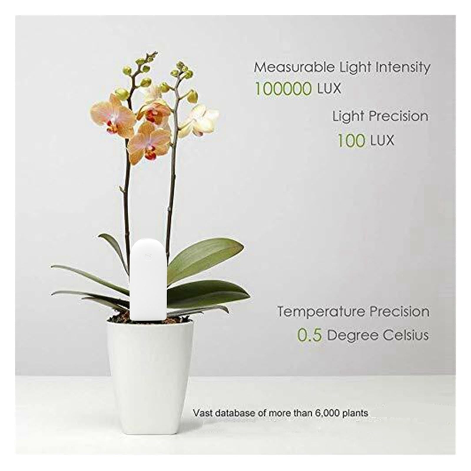 Monitor de Plantas de Flores, rastreador de Prueba de Suelo, Monitor Inteligente Bluetooth for Temperatura de fertilidad de Humedad Ligera(White)