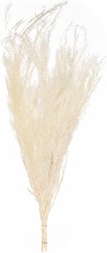 Uniquewise 28'' Real Dried Floral Decorative Bouquet Natural Melaleuca Bracteata Grass Preserved Flowers for Elegant Home Decor Wedding Centerpieces Party Arrangements & Fresh Display Accents, White