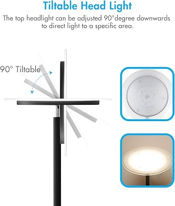 Tenergy Modern Torchiere Floor Lamp, 3000L LED, 30W, Remote Control, Touch Dimmer, 90 Adjustable, Warm White
