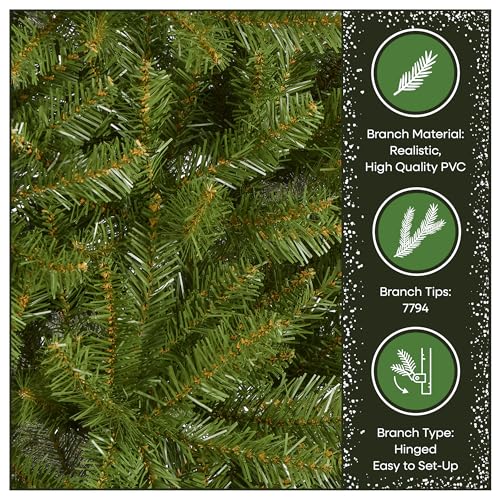 Image of National Tree Company 12 ft Unlit Dunhill Fir Artificial Full Christmas Tree, 7,794 Tips, Includes Stand, Green