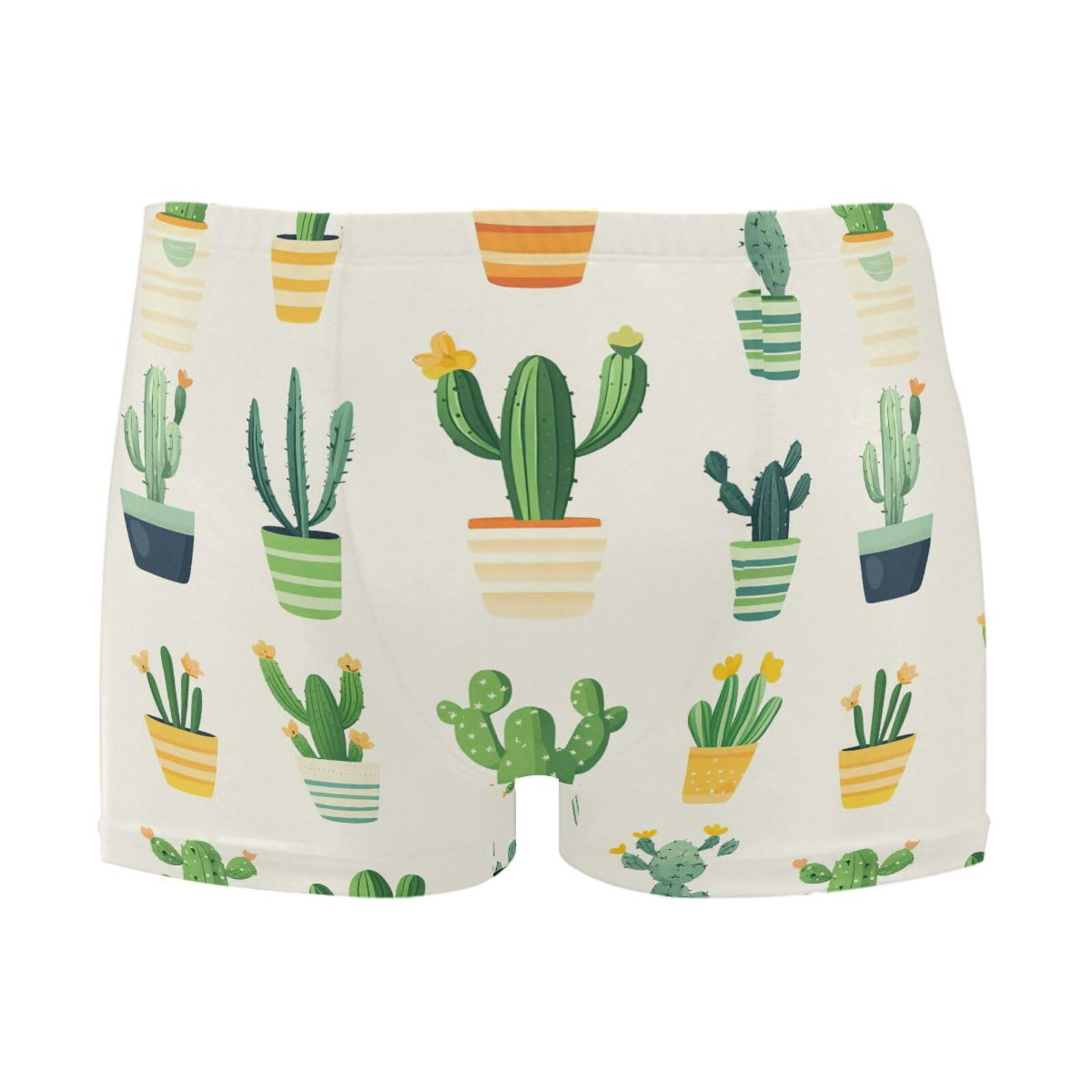 UMIRIKO Mens Swim Trunks Cactus Square Leg Swimwear Bathing Suits Swimsuit for Men XL 202c0085