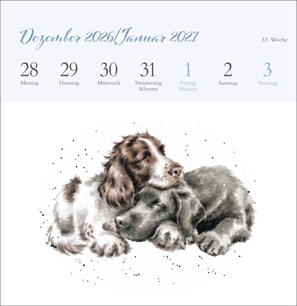 Hannah Dale: Happy Animals Premium-Postkartenkalender 2027: Die schönen Tierzeichnungen der britischen Künstlerin in einem kleinen Kalender zum Aufstellen. Wochenkalender mit 53 Postkarten