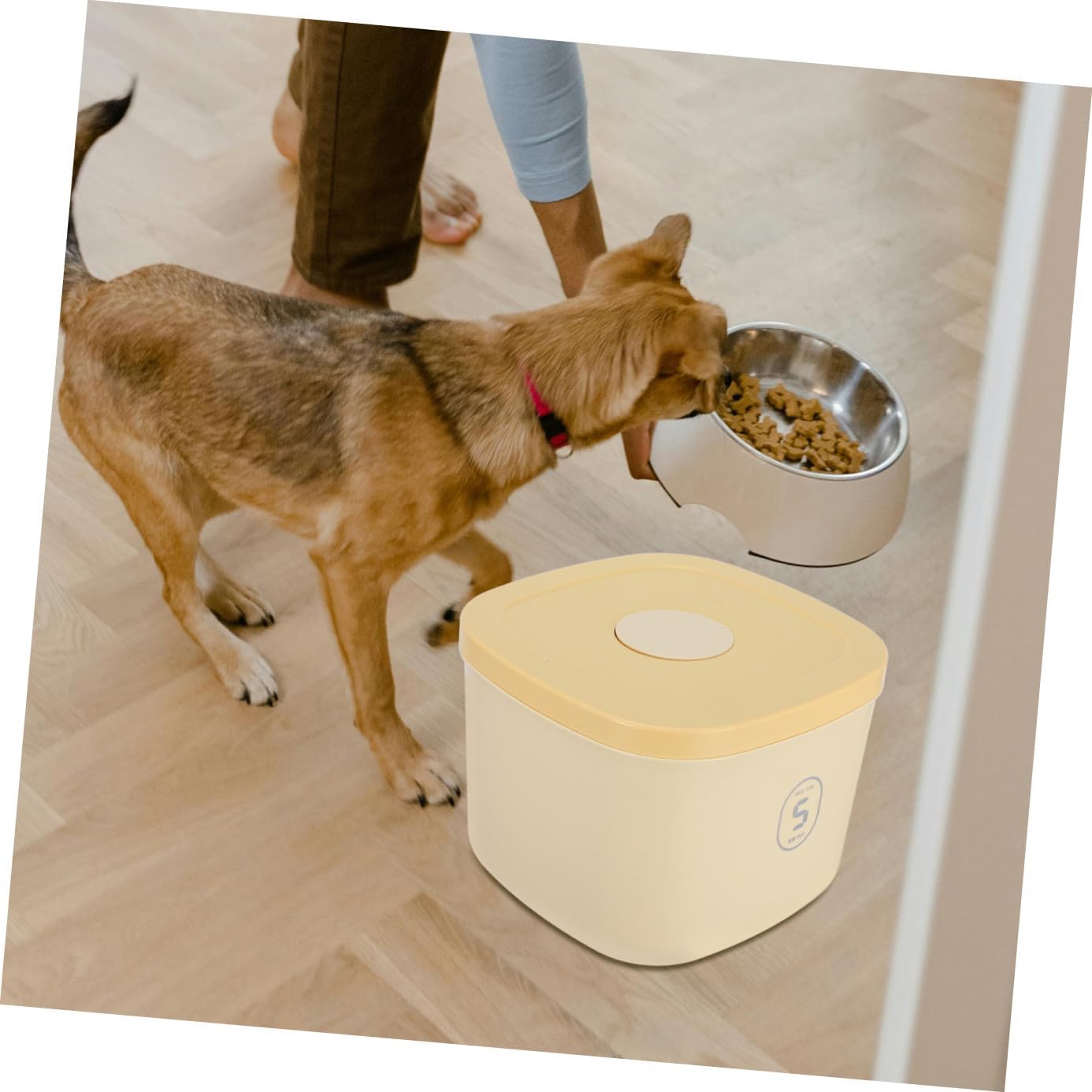 Pet Food Storage Bin Large Capacity Airtight Dog and Cat Food Container with Seal Lid Moisture-proof Yellow Small Size for Daily Pet Feeding