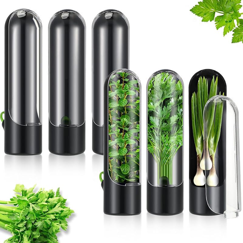 Contenitori per conservare erbe aromatiche, confezione da 6 pezzi, per frigorifero, verdure fresche, per asparagi, coriandolo, menta, coriandolo, mantiene le erbe fresche più a lungo