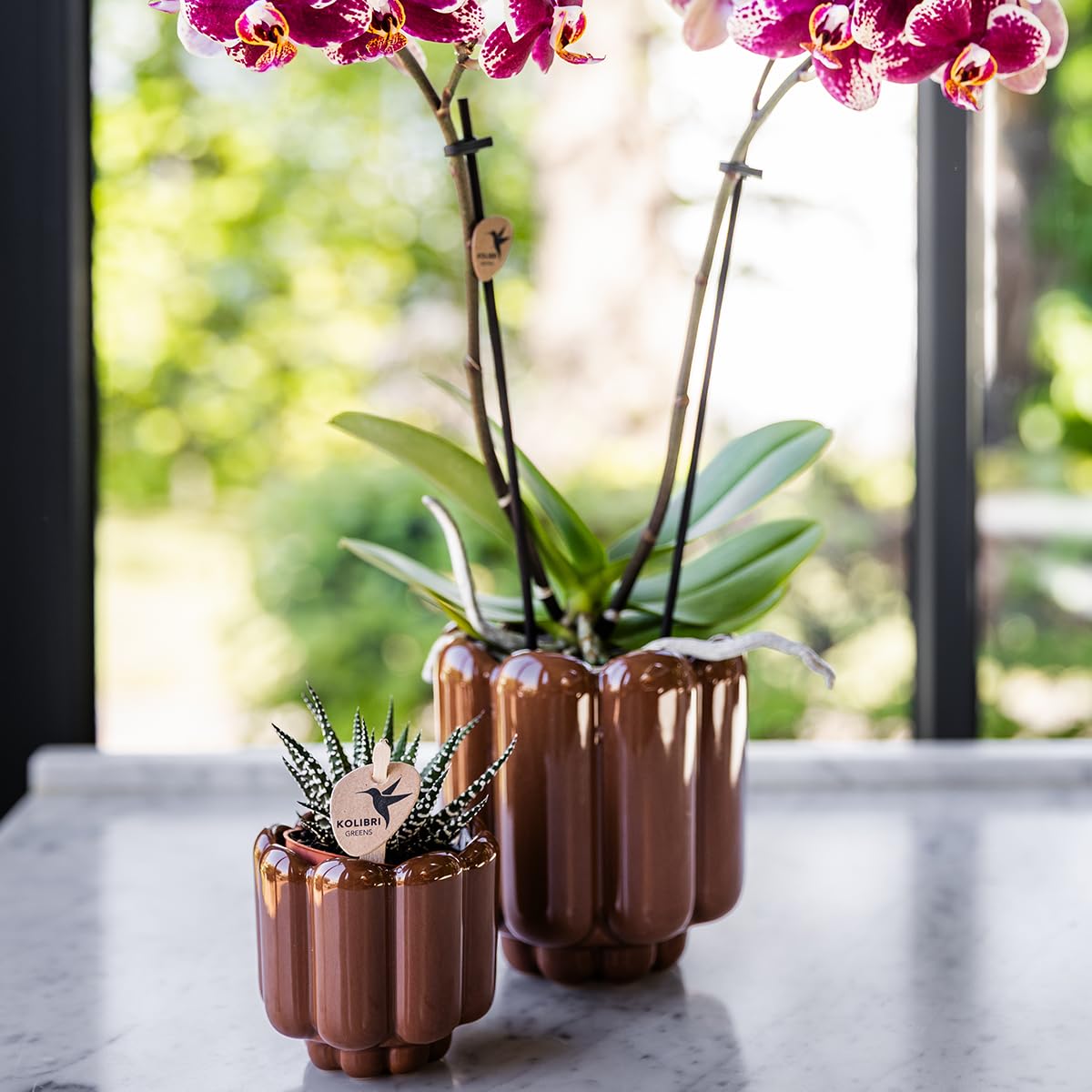 bertopf Retro Shine braun 9cm  Blumentopf mit Blasenrelief   hochglnzender Retro-bertopf im 70er-Design  Pflanzenbertopf fr  Sukkulenten, Kakteen & kleine Zimmerpflanzen: Amazon.de: Garten