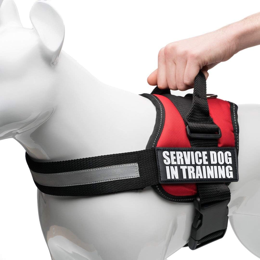 service dog jacket amazon