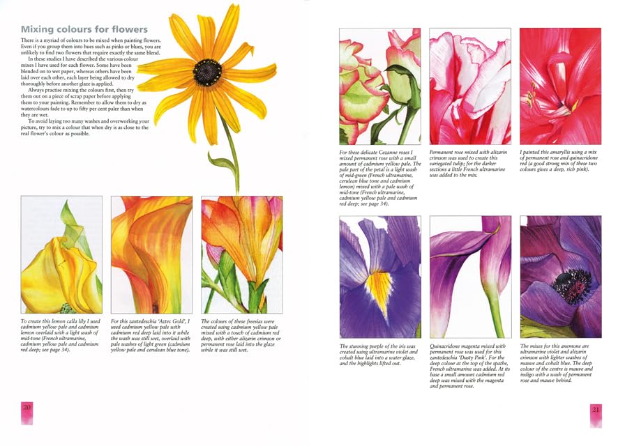 Blumenporträts realistisch malen: Techniken und Übungen in Aquarell