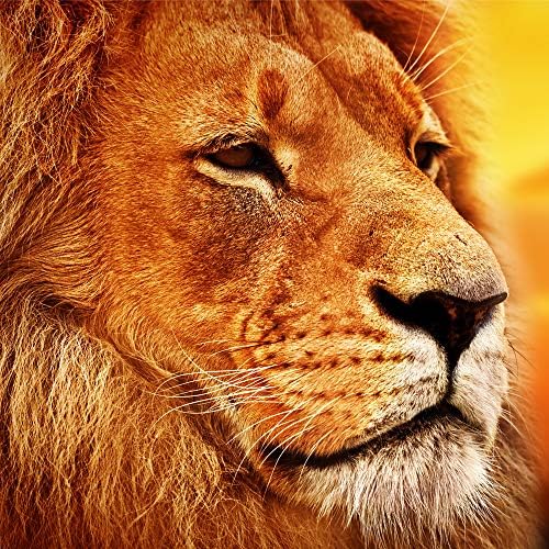 Mosaic Wooden Jigsaw Puzzle African Lion 101 Pieces Made in The USA