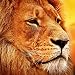 Mosaic Puzzles Wooden Jigsaw Puzzle – Lion on the African Savannah – 101 Unique Pieces Challenge any Puzzle Lover from ages 8 to 98 – Made in the USA by Zen Art & Design
