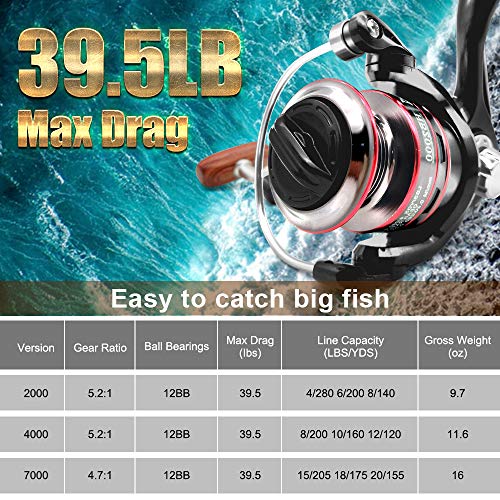 Fishing Reel, Spinning Reel, Ultralight 5.2:1 Gear Ratio, 12 Ball Bearings, 39.5Lb Carbon Fiber Drag, Reversible Handle For Left And Right Retrieve, Perfect For Freshwater And Saltwater (H2000) #TOP5