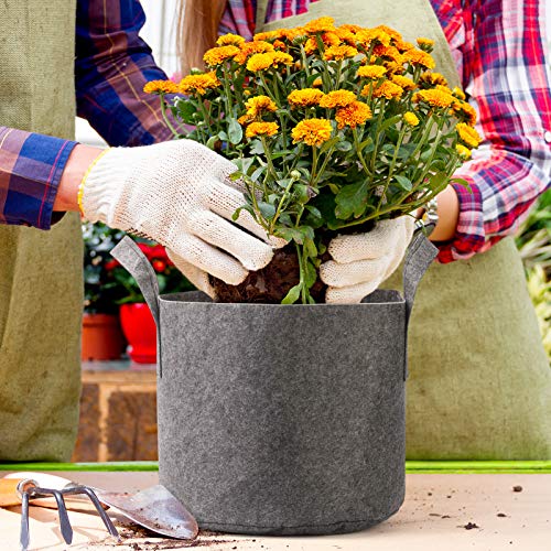 Delxo 3 Gallon Grow Bags 12 Pack, Heavy Duty Thickened Nonwoven Fabric Pots For Plants, Ideal For Container Gardening, Durable & Lightweight Planting Bags, Perfect For Vegetables, Grey #TOP5