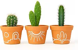 Kit 3 Vasos de Barro Estilo Sertão – Ideal para Cactos e Suculentas